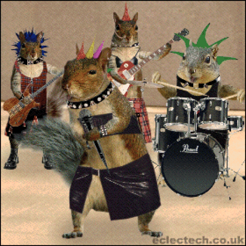 horse and blue ribbon trademark image with 33yrs of experience and quality that will please you text.