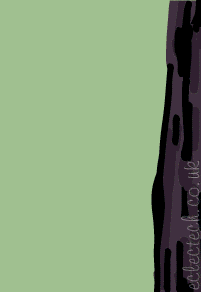 horse and blue ribbon trademark image with 33yrs of experience and quality that will please you text.