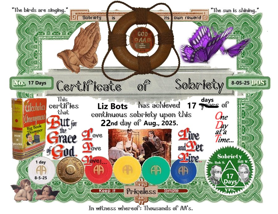 Liz Bots 17 day certificate of sobriety